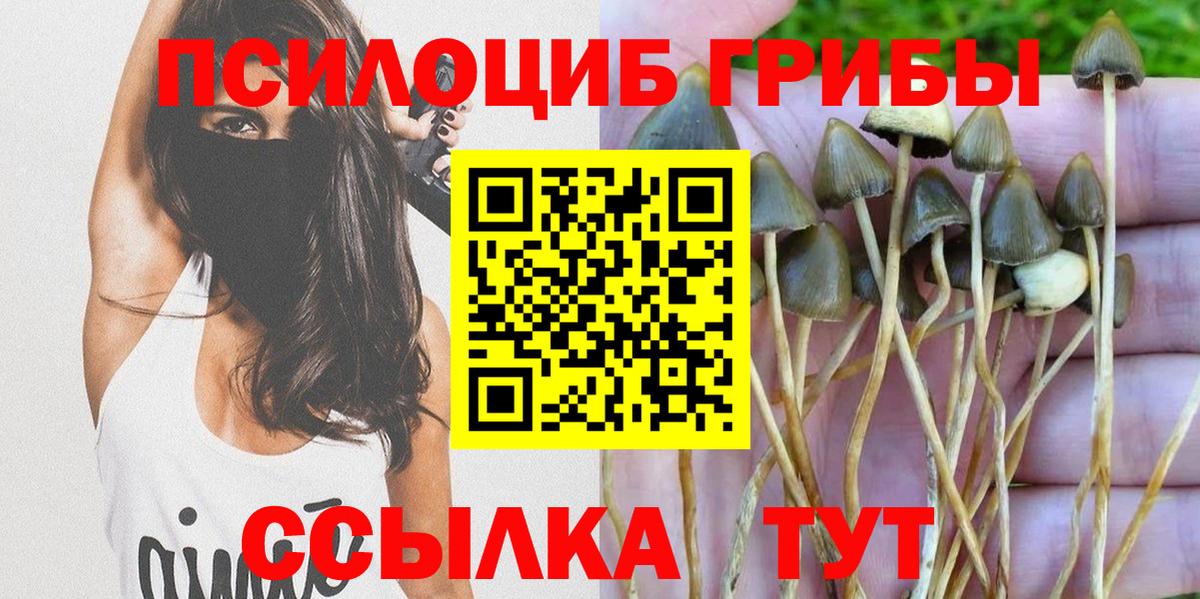 Псилоцибиновые грибы мицелий Вязьма