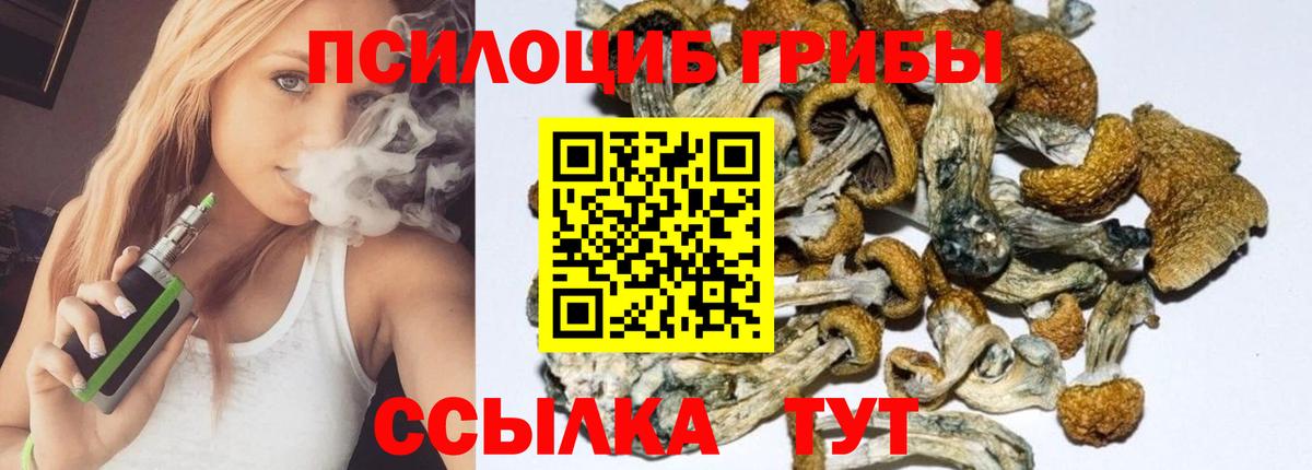 Галлюциногенные грибы мухоморы  Псилоцибиновые грибы прущие грибы  Вязьма  Вход с VPN 